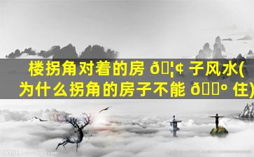 楼拐角对着的房 🦢 子风水(为什么拐角的房子不能 🐺 住)